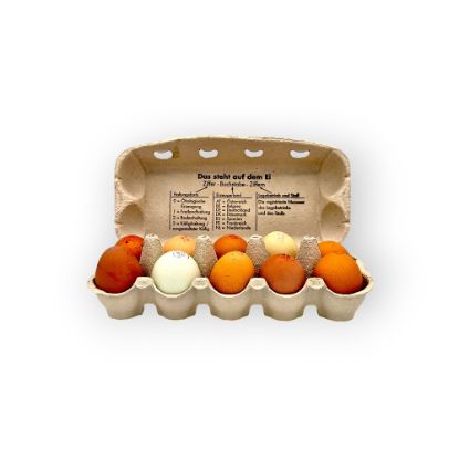 Picture of BIO -  Eier 10er  