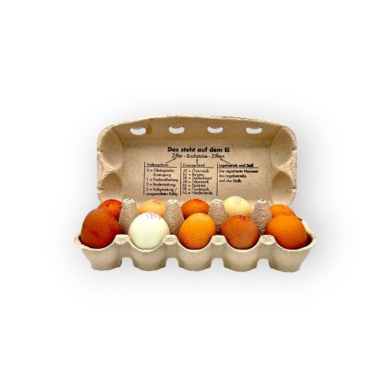 Bild von BIO -  Eier 10er  