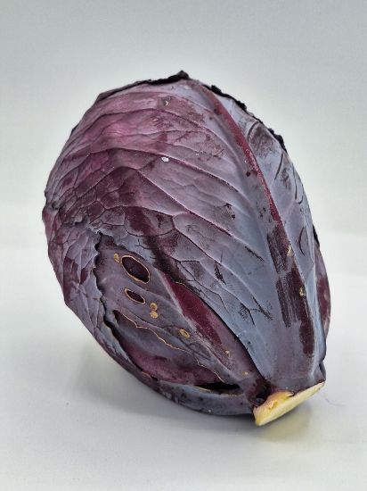 Picture of BIO -  Rotkraut per kg 