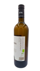Bild von BIO -  Klöch Riesling 2020 0,75l Win 