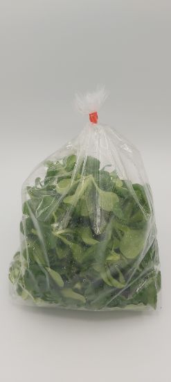 Picture of BIO -  Vogerlsalat 125g ATR 