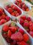 Picture of BIO -  Erdbeeren 500g Tasse