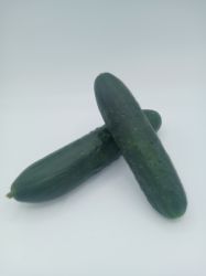 Picture of BIO - Gurken gemischt per kg