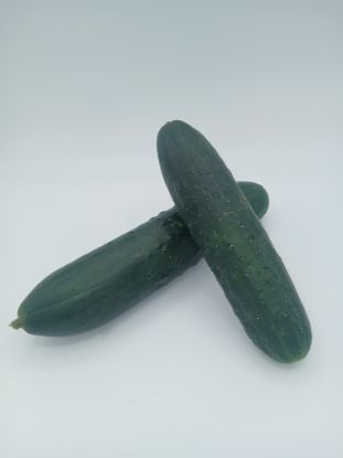 Picture of BIO - Gurken gemischt per kg