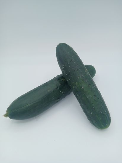 Bild von BIO -  Gurken per kg