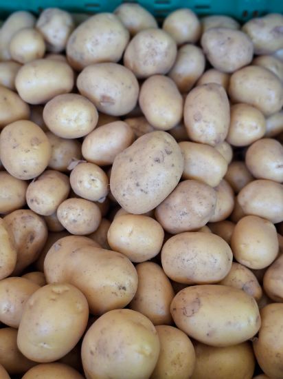 Bild von BIO - Kartoffel per kg