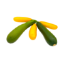 Bild von BIO – Zucchini per kg