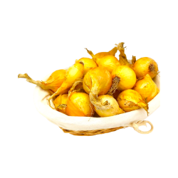 Picture of BIO - Zwiebel /kg