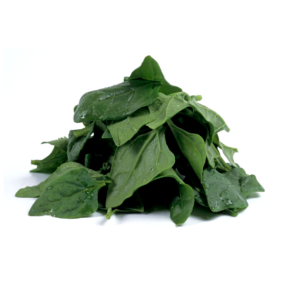 Bild von BIO -  Spinat per kg ATR 